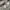 Carhartt Streetwear Casual Hoody Pria gray photo 6