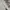 Carhartt Streetwear Casual Hoody Pria gray photo 4