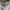 Stone Island Casual Sweatshirt Pria multicolor photo 4