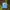 Patagonia Gorpcore Sportswear Hat Pria White Blue