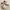 Luxury Minimalist Brogue Kids cream photo 1