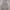 Dickies Y2K Futurist Hoody Pria green gray photo 2