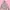 Coquette Sweater Wanita pink photo 1