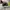 VANS Streetwear Sneakers Pria white black photo 4
