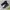 Converse Streetwear Sneakers Pria black photo 1
