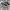 Salomon Casual Sneakers Pria tan brown photo 1