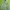 Avant Garde Blouse Wanita green photo 1