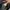 The North Face Gorpcore Windbreaker Kids black photo 3