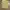 Vintage Y2K Sweatshirt Wanita yellow photo 1