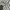 Vintage Y2K Crop top Wanita white black photo 3