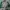 Vintage Bomber jacket Pria white green photo 1