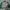 Vintage Bomber Jacket Pria White Green