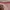 Vintage Y2K Sweatshirt Wanita white pink photo 3