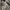 Rip Curl Y2K Bag Pria gray photo 4