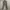 Minimalist Casual Culotte Wanita tan photo 4