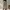 Minimalist Casual Culotte Wanita tan photo 2