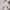 Casual Cardigan Wanita white photo 1