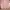 Lolita Coquette Cardigan Wanita gold pink photo 1