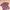 H&M Y2K Casual Polo Shirt Pria Pink Blue