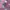 H&M Y2K Casual Polo shirt Pria pink blue photo 3