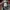 Dickies Streetwear Casual Casual shirt Pria multicolor photo 7