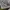 Nike Casual Sneakers Pria white gray photo 6