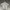 Adidas Streetwear Casual Polo shirt Pria gray photo 1