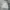 thisisneverthat Casual Hoody Pria gray photo 3