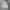 thisisneverthat Casual Hoody Pria gray photo 1