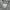 thisisneverthat Casual Hoody Pria gray photo 4