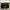Furla Casual Shoulder bag Wanita black photo 1