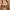 Vintage Handbag Wanita tan photo 2