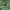 Takeo Kikuchi Vintage Y2K Casual shirt Pria green photo 2