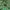 Takeo Kikuchi Vintage Y2K Casual Shirt Pria Green