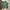 Takeo Kikuchi Vintage Y2K Casual shirt Pria green photo 4