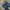 Nudie Casual Jeans Pria navy photo 3