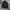 Adidas Casual Track jacket Pria black photo 1