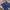 Levi's Vintage Jeans Pria blue photo 5