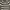 MUSINSA STANDARD Casual T-shirt Pria multicolor photo 1