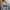 Dickies Streetwear Sweatshirt Pria gray photo 2