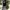 Vintage Streetwear Shoulder bag Wanita green photo 6