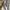 Champion Streetwear Casual Hoody Pria white photo 6