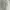 Champion Streetwear Casual Hoody Pria white photo 8