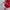 Adidas Sportswear Jersey Pria white red photo 4