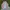 Sportswear Windbreaker Pria white pink photo 4