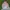 Sportswear Windbreaker Pria white pink photo 1