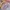 Sportswear Windbreaker Pria white pink photo 6