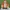 Merrell Gorpcore Sportswear Windbreaker Pria orange cream photo 2