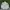 Fila Streetwear Casual Windbreaker Pria white photo 4