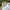 Fila Streetwear Casual Windbreaker Pria white photo 7